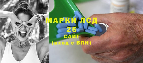 гидра Богданович