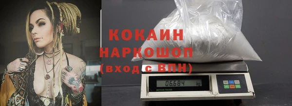 гидра Богданович