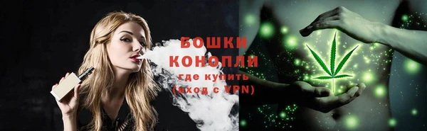 эйфоретик Богородицк