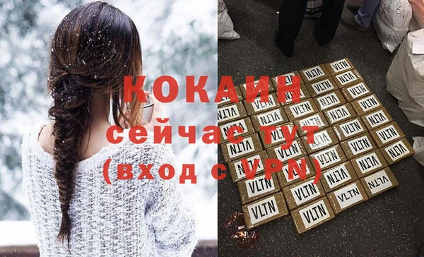 гидра Богданович