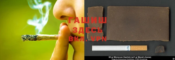 гидра Богданович