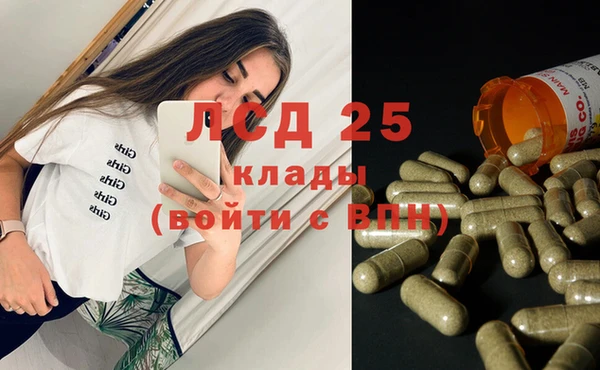 гидра Богданович