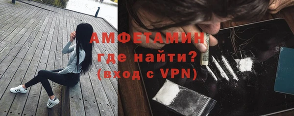 гидра Богданович