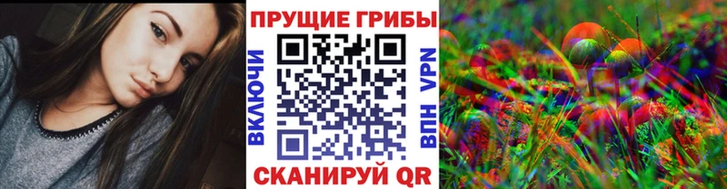 Псилоцибиновые грибы GOLDEN TEACHER  наркотики  Хабаровск 